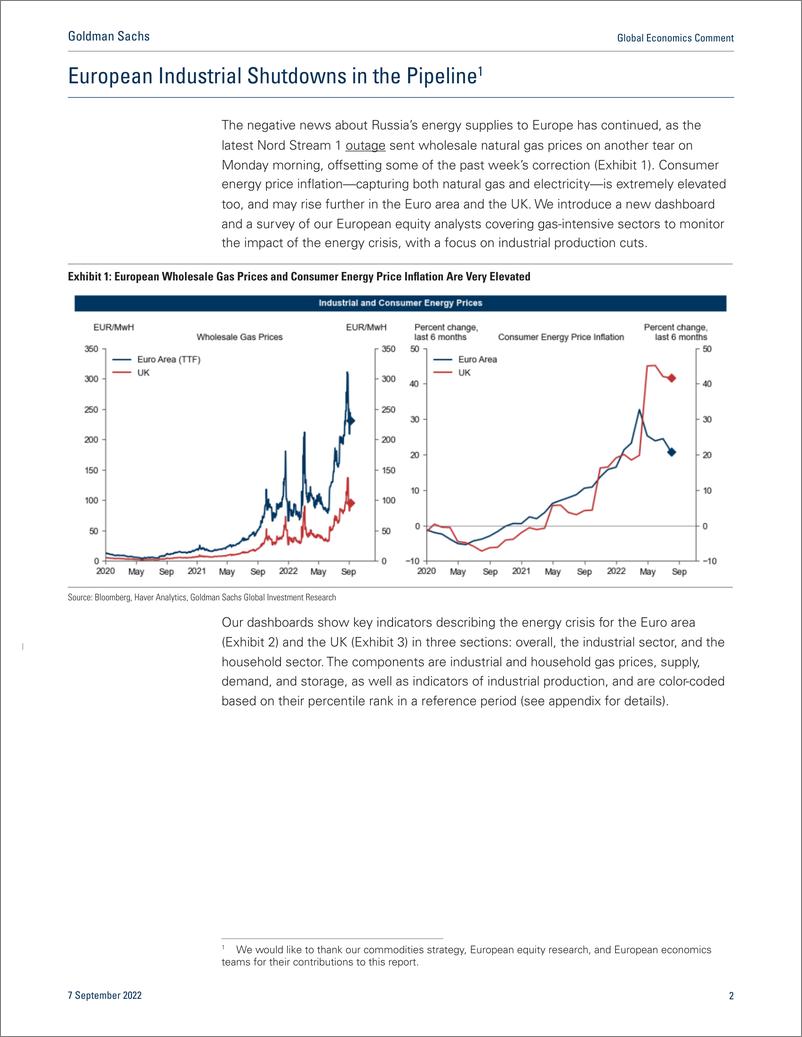 《Global Economics Commen European Industrial Shutdowns in the Pipeline (StruyveKodnani)(1)》 - 第3页预览图