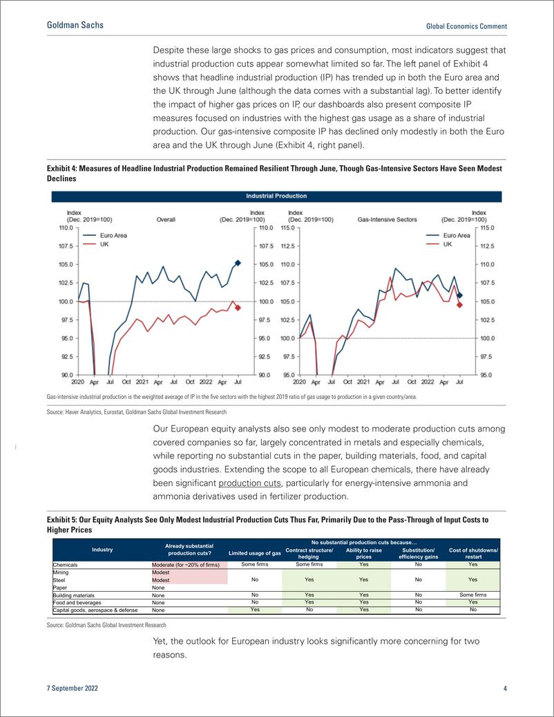 《Global Economics Commen European Industrial Shutdowns in the Pipeline (StruyveKodnani)(1)》 - 第5页预览图