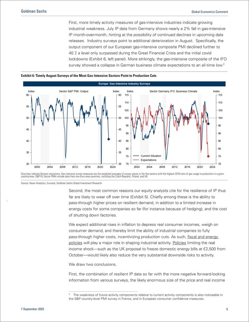 《Global Economics Commen European Industrial Shutdowns in the Pipeline (StruyveKodnani)(1)》 - 第6页预览图