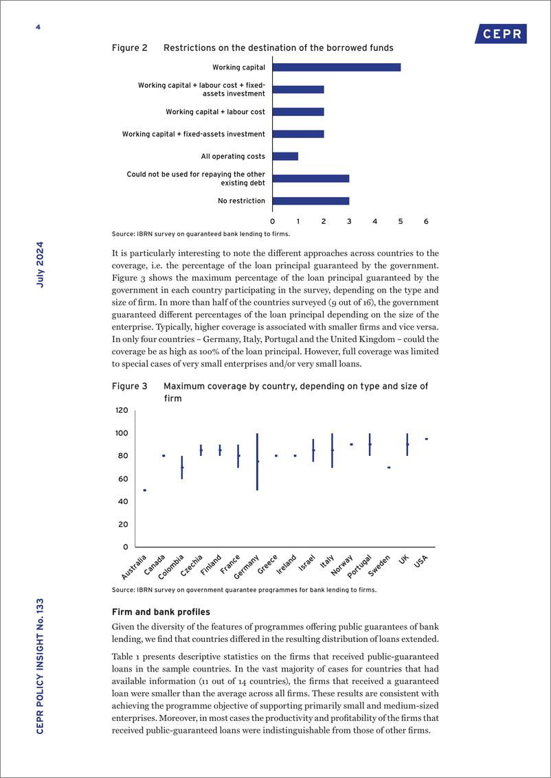 《CEPR-政府对银行向企业贷款的担保计划：未来政策制定者的经验教训（英）-2024.7-13页》 - 第4页预览图