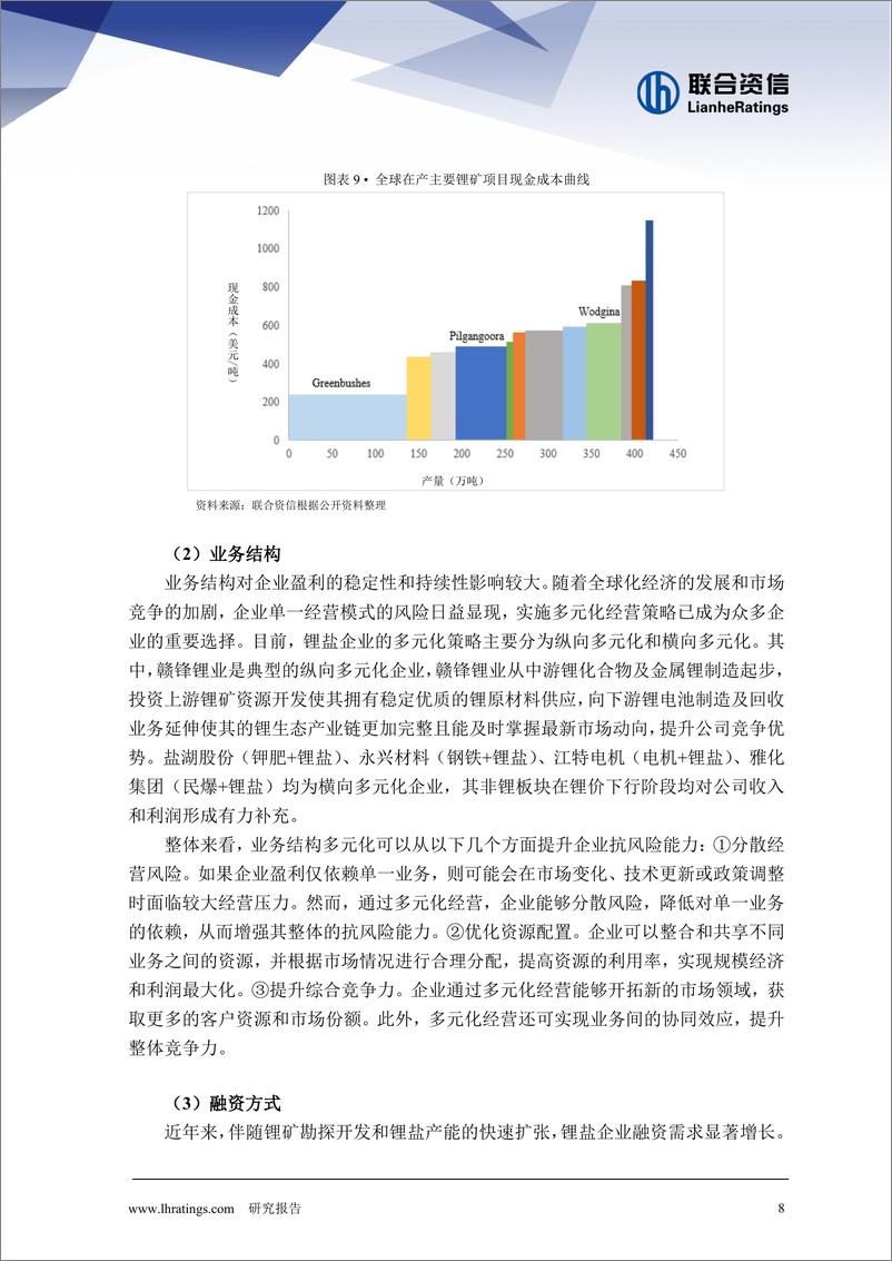 《锂行业：“锂”清过往，合“锂”预期-241216-联合资信-11页》 - 第8页预览图