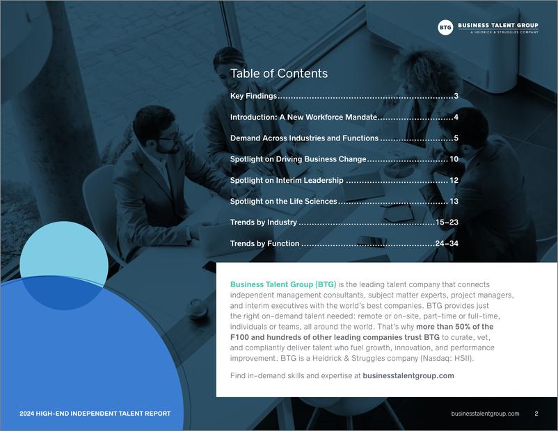 《Business Talent Group_2024年高端独立人才报告_英文版_》 - 第2页预览图