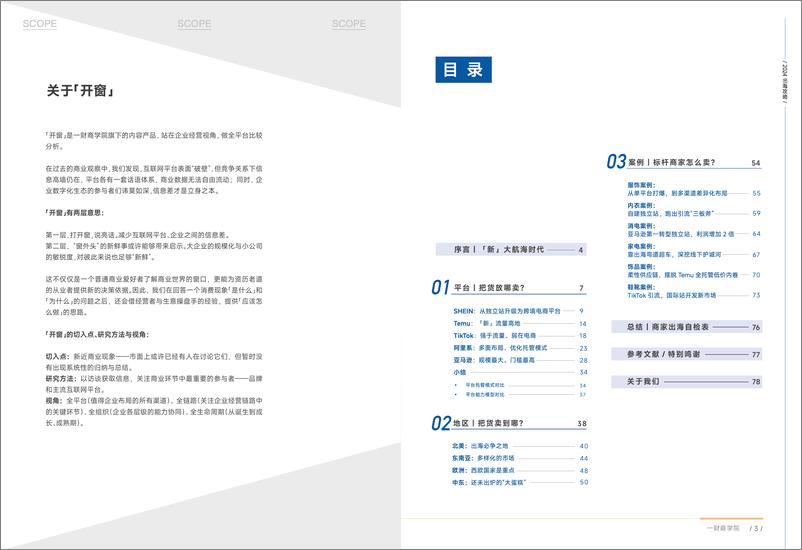 《2024出海攻略_新大航海时代新主体_新目标_新贸易方式》 - 第2页预览图