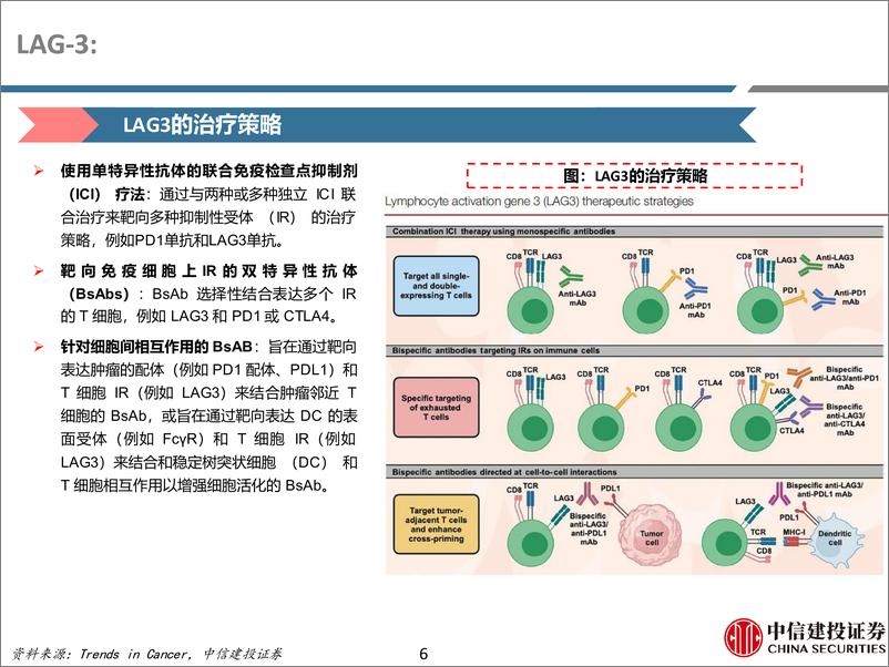 《医药行业研究·创新药系列：再看LAG3，NSCLC可能成为新突破-241228-中信建投-41页》 - 第6页预览图