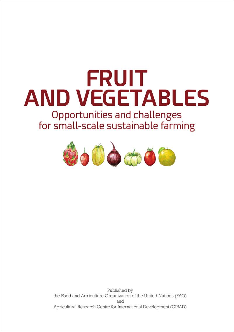 《水果与蔬菜 — 小规模可持续农业的机遇与挑战》英-196页 - 第4页预览图