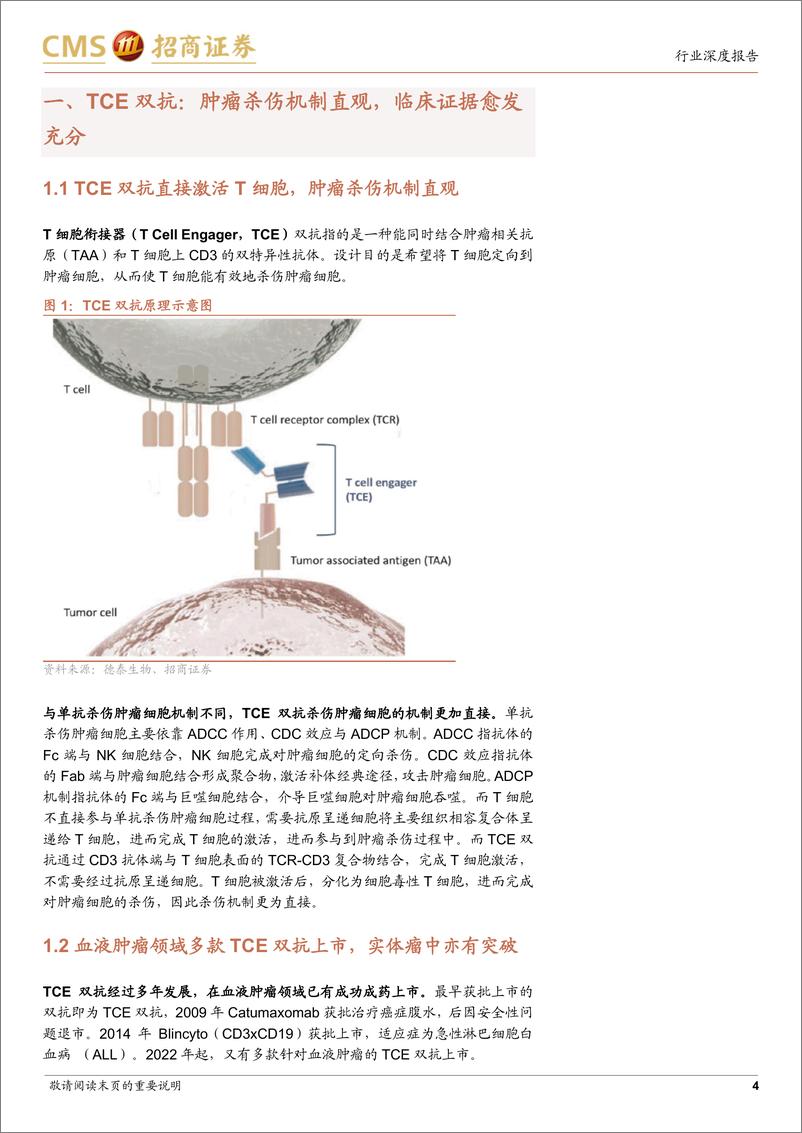 《创新药系列报告(四)-TCE双抗行业深度：结构设计映射临床疗效，实体瘤适应症有所突破-240321-招商证券-20页》 - 第4页预览图