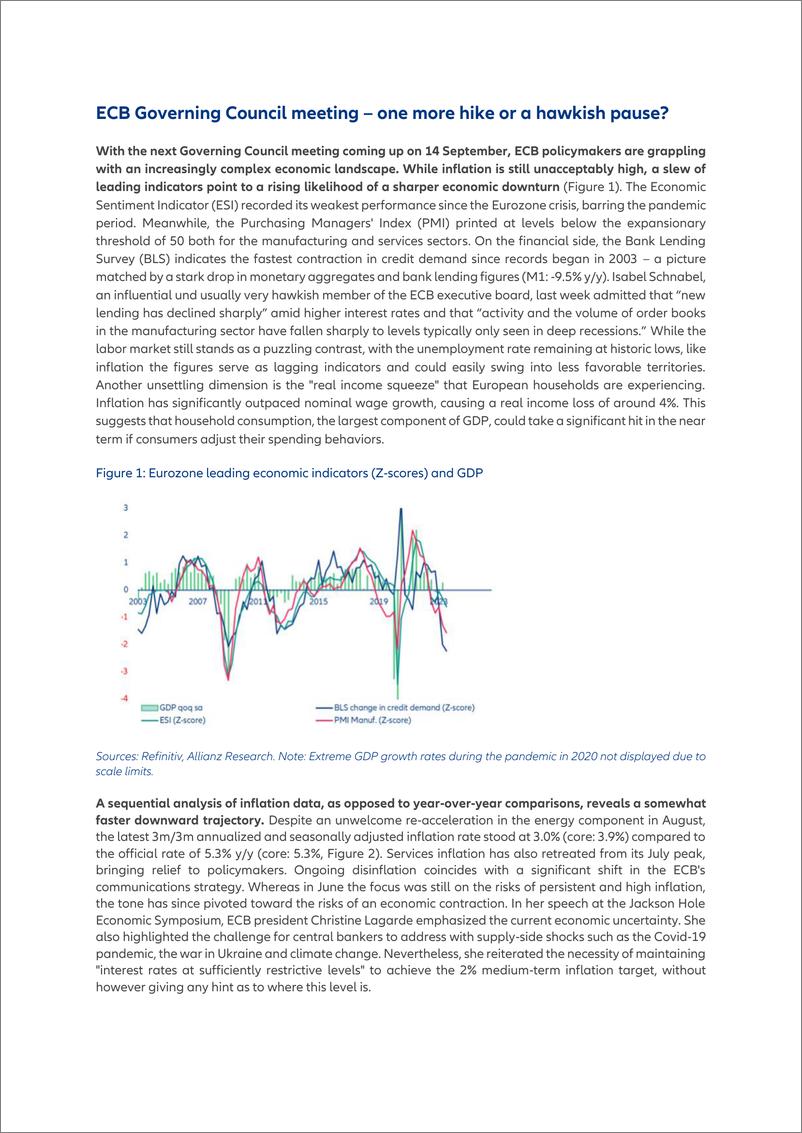 《Allianz+中国缓慢着陆-英文-14页》 - 第3页预览图