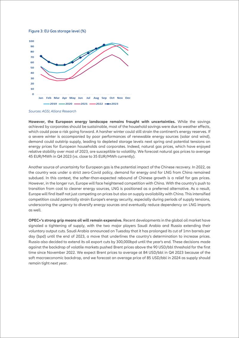 《Allianz+中国缓慢着陆-英文-14页》 - 第5页预览图