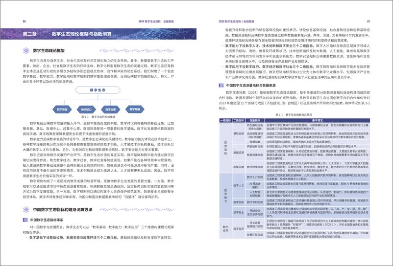 《2024数字生态指数报告》 - 第7页预览图