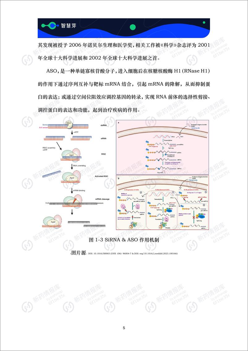 《智慧芽：2024小核酸药物研发进展及技术平台调研报告》 - 第8页预览图