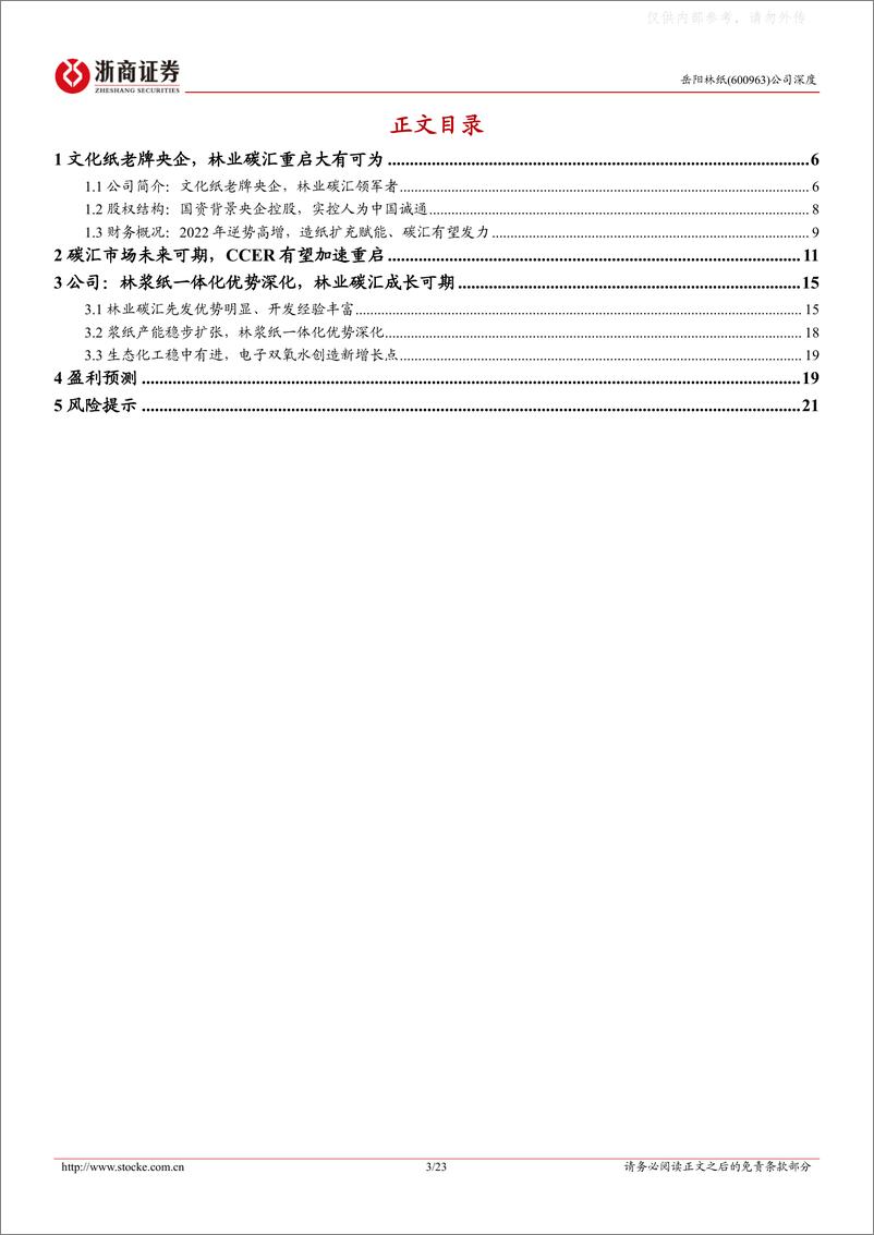 《浙商证券-岳阳林纸(600963)深度报告：文化纸老牌央企，林业碳汇领军者-230629》 - 第3页预览图