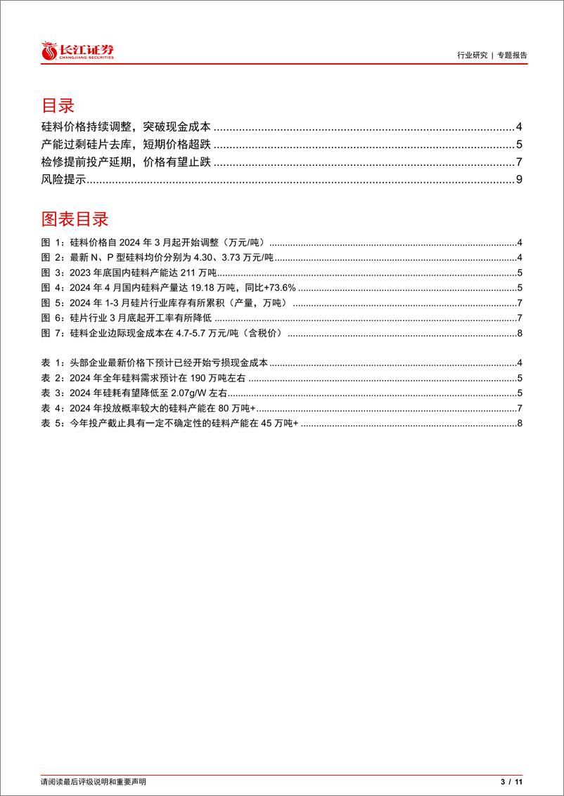 《电气设备行业专题报告：光伏花语第24期，硅料环节关心问题的探讨-240519-长江证券-11页》 - 第3页预览图