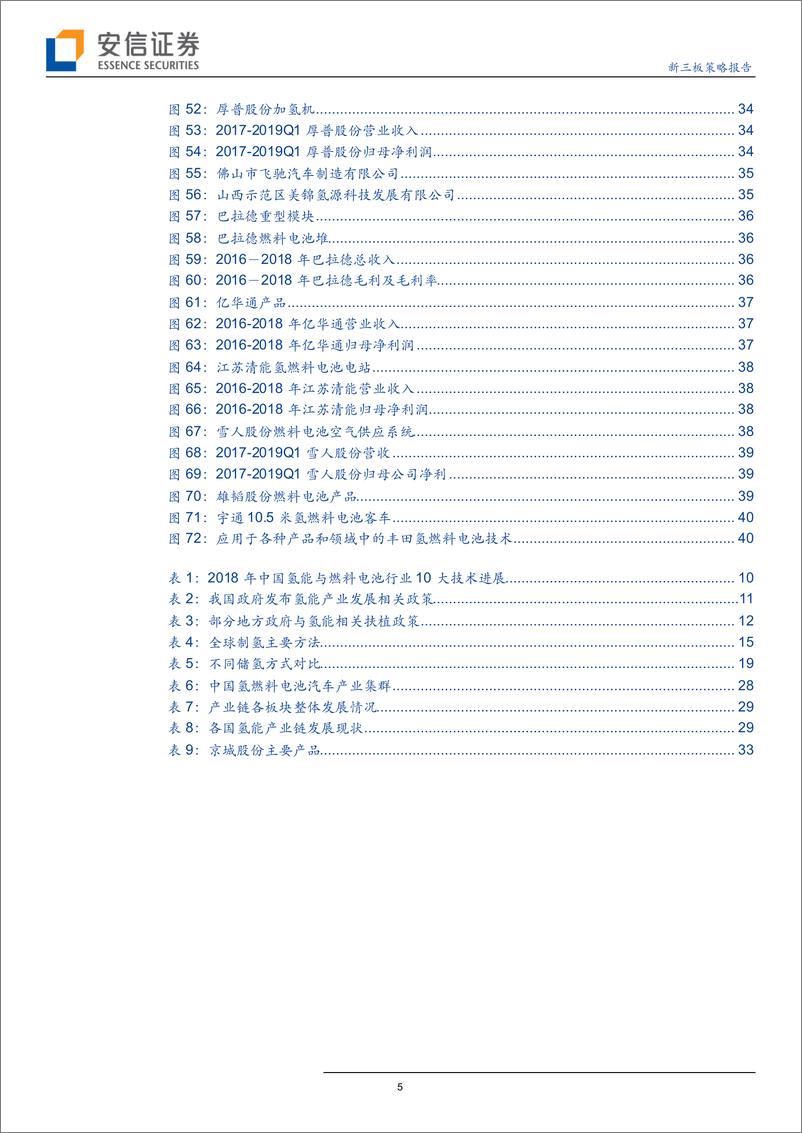 《新三板策略报告：氢能源产业，当前变化、产业格局和投资机遇？-20190718-安信证券-42页》 - 第6页预览图