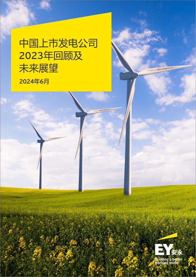 《安永：中国上市发电公司2023年回顾及未来展望报告》 - 第1页预览图