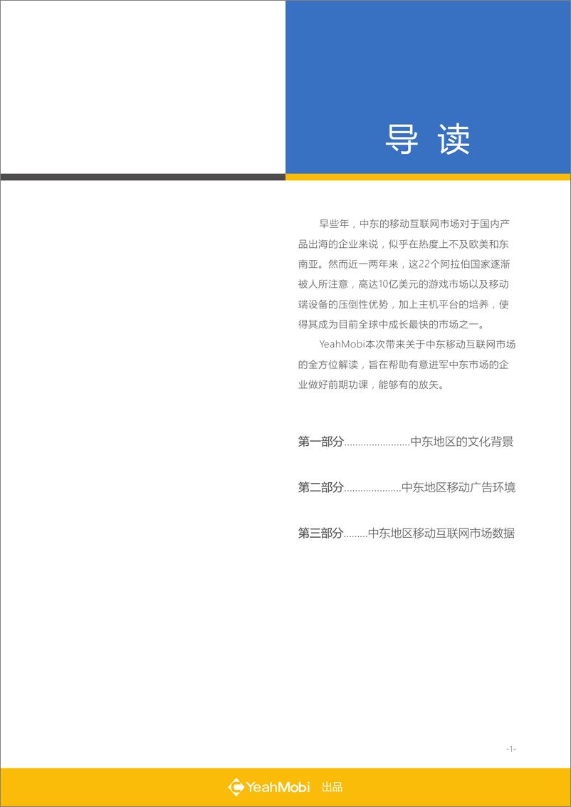 《全球移动互联网市场数据大揭密系列之（中东篇）》 - 第3页预览图