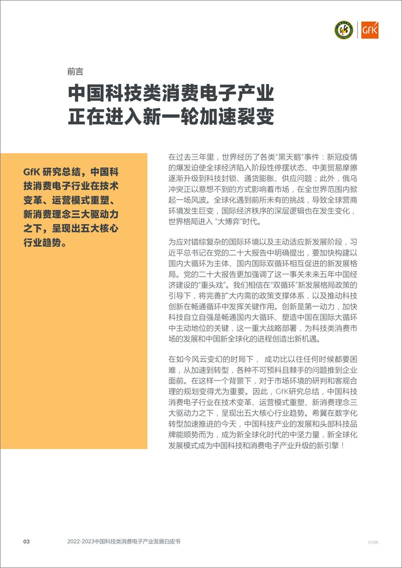 《2022-2023中国科技类消费电子产业发展白皮书》 - 第4页预览图