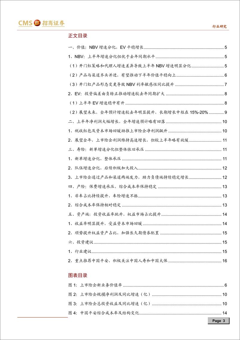 《保险行业2019年中报综述：核心指标明显分化，投入加大2020年可期-20190901-招商证券-19页》 - 第4页预览图