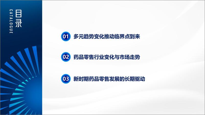 《临界点中国药品零售行业年度报告》 - 第2页预览图