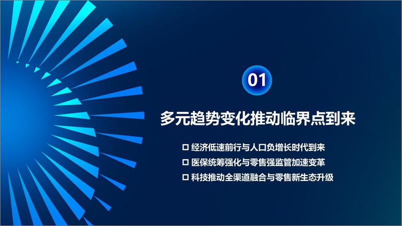 《临界点中国药品零售行业年度报告》 - 第3页预览图