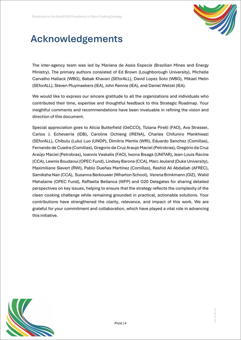 《国际能源署-巴西G20主席国清洁烹饪战略路线图（英）-2024-24页》 - 第4页预览图