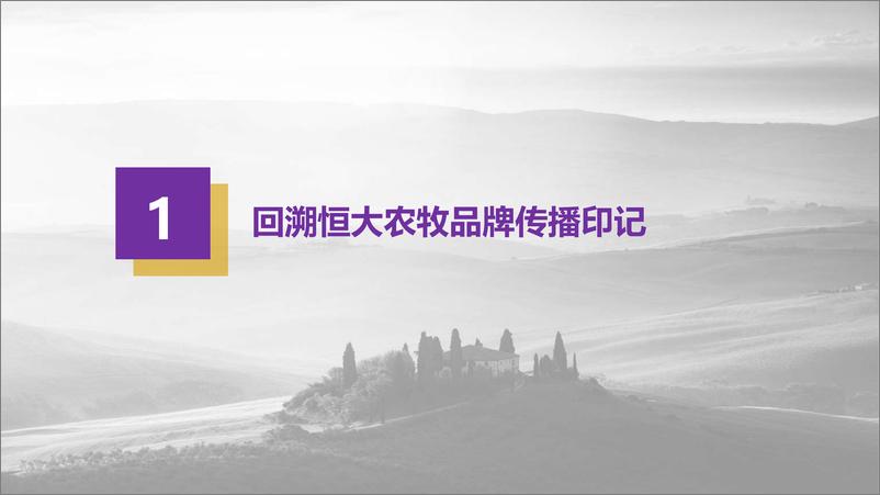 《7305.2018恒大农牧品牌年度品牌策划案-52P》 - 第6页预览图