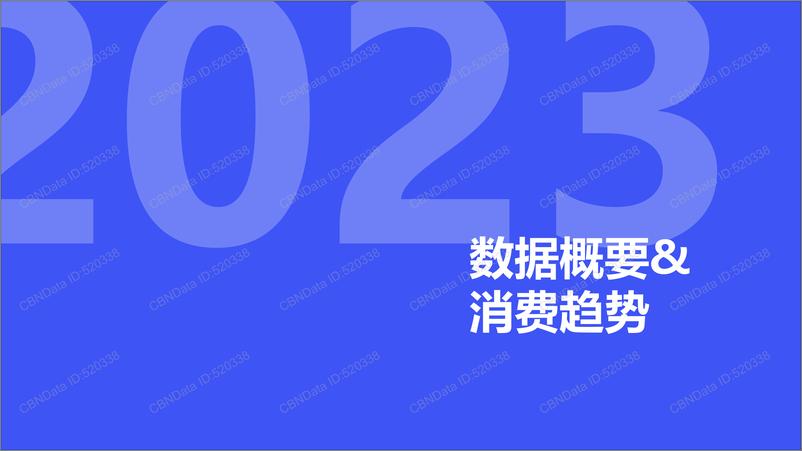 《魔镜洞察：2023年度消费新潜力白皮书》 - 第5页预览图