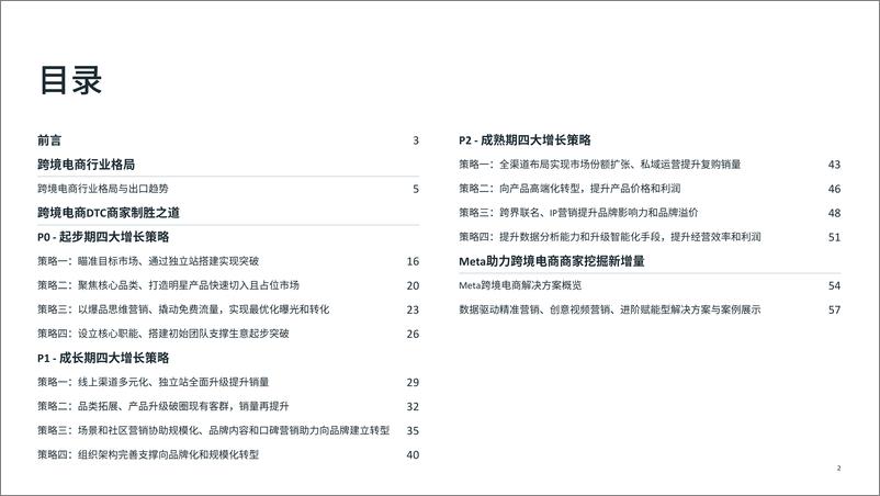 《跨境电商DTC全阶段增长策略白皮书-79页》 - 第2页预览图