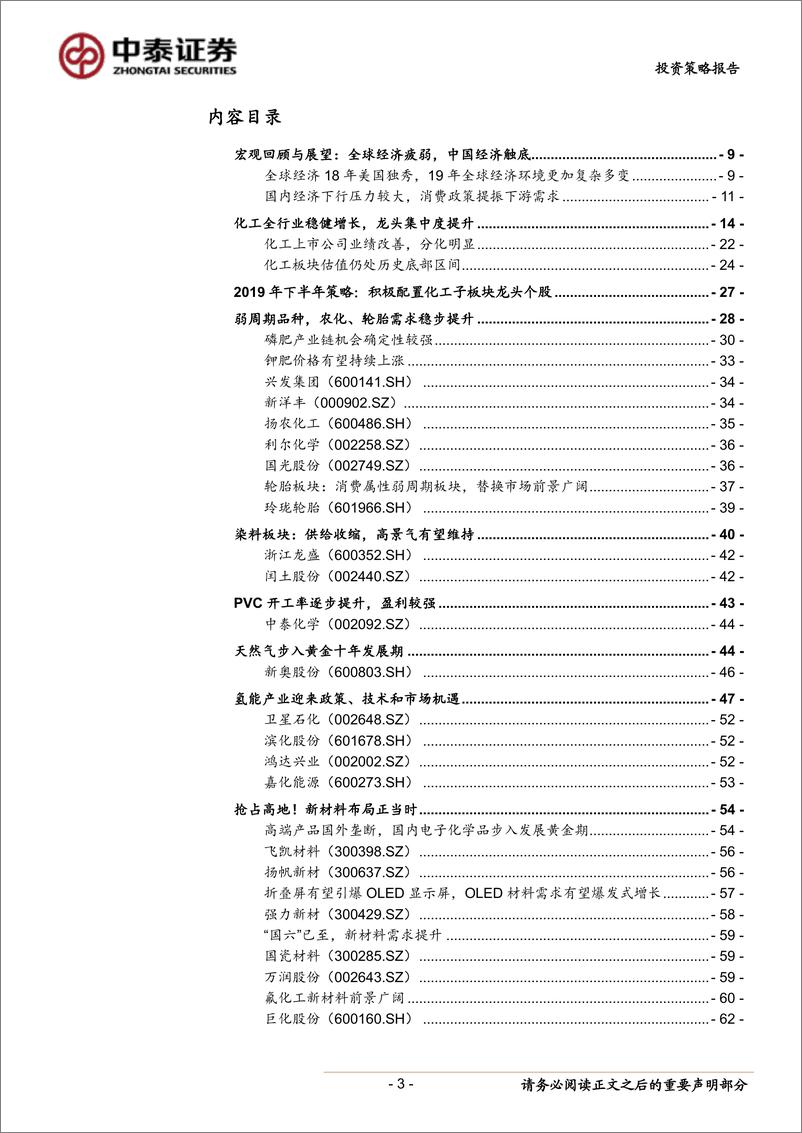 《化工行业2019年中期策略：风雨送春归，飞雪迎春到-20190609-中泰证券-66页》 - 第4页预览图