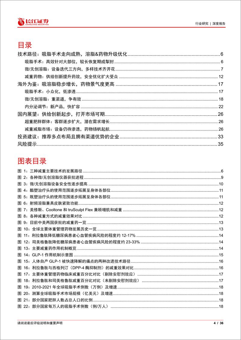 《减重减脂行业：技术红利，增量市场-长江证券》 - 第4页预览图