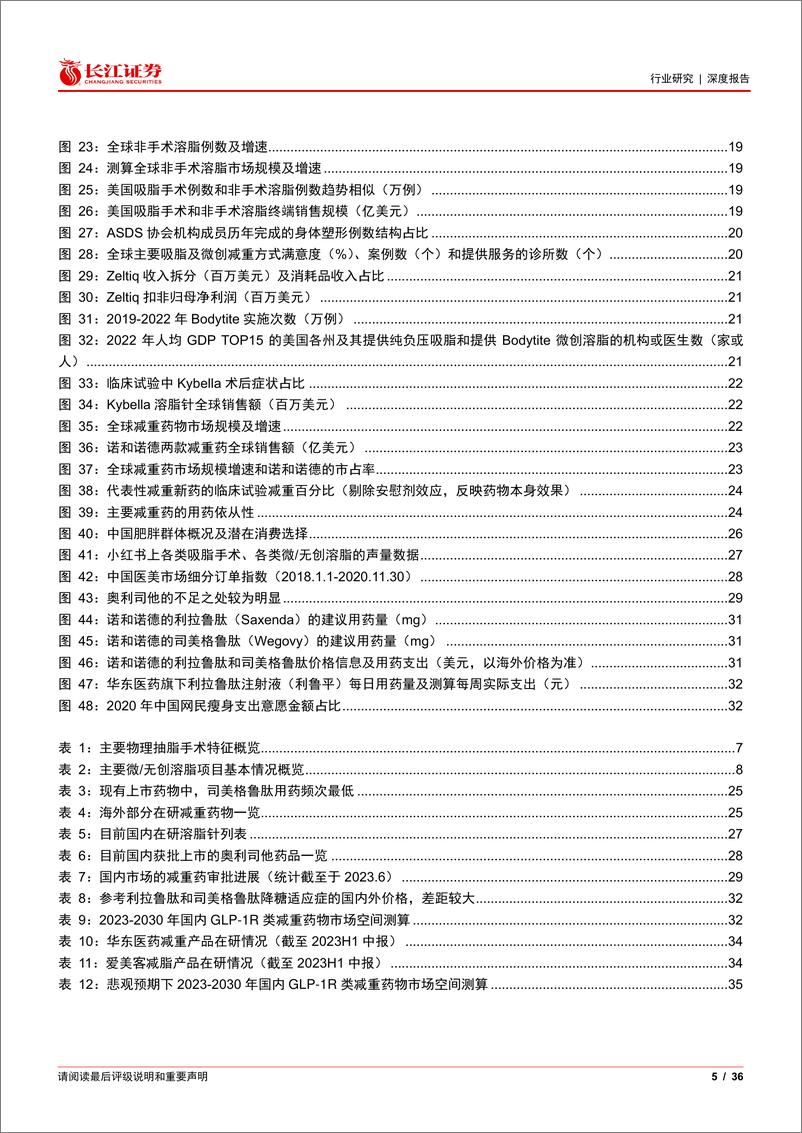 《减重减脂行业：技术红利，增量市场-长江证券》 - 第5页预览图