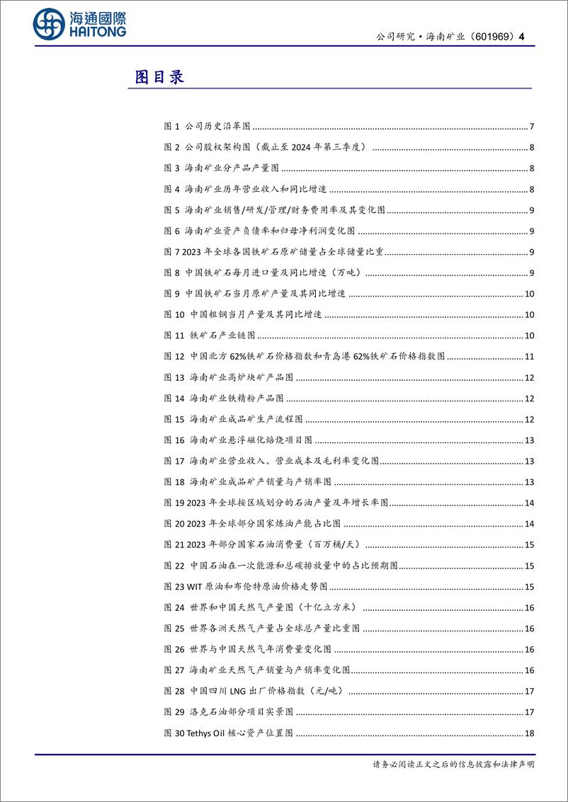 《海南矿业(601969)“铁矿石%2b油气%2b锂”三轮驱动，海外布局再下一城-241216-海通国际-33页》 - 第4页预览图