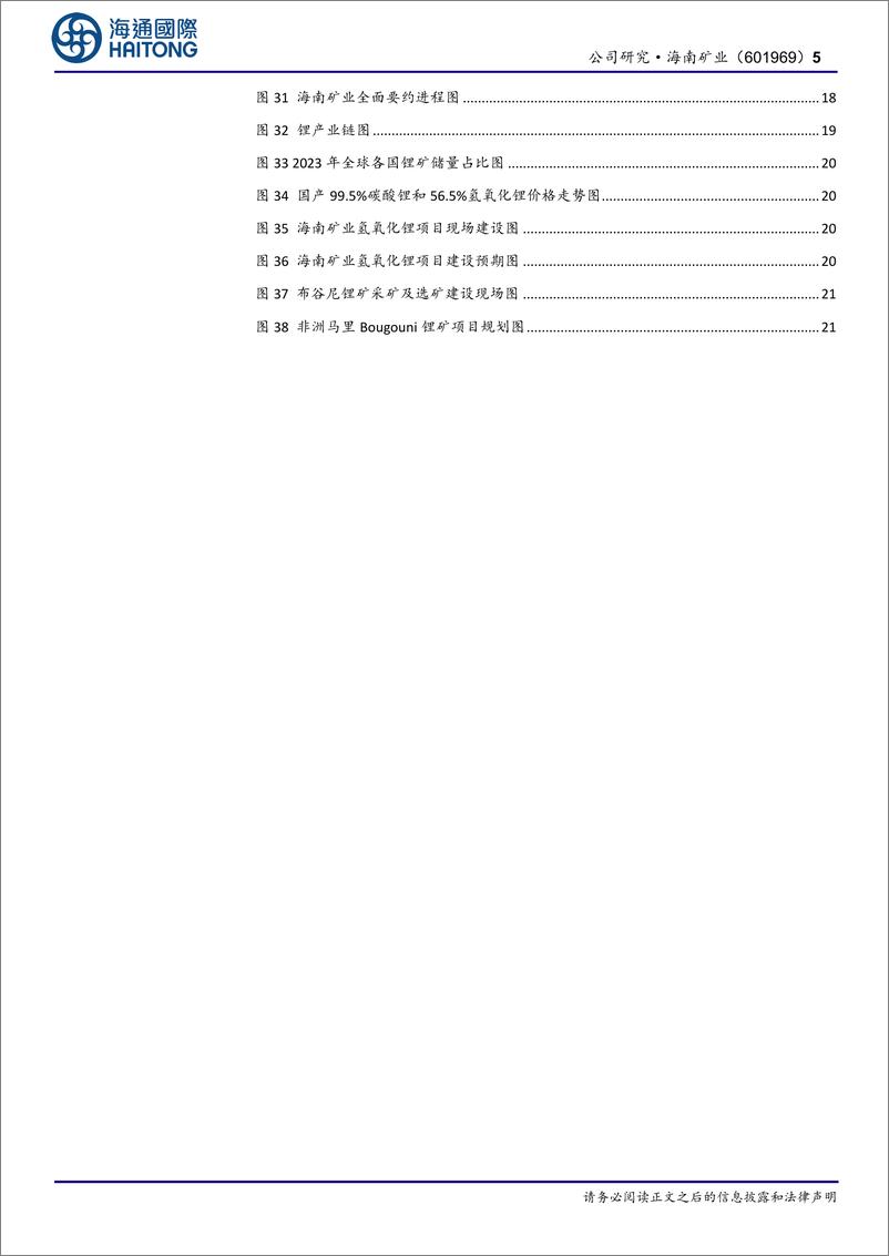 《海南矿业(601969)“铁矿石%2b油气%2b锂”三轮驱动，海外布局再下一城-241216-海通国际-33页》 - 第5页预览图