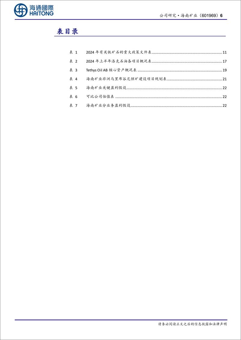《海南矿业(601969)“铁矿石%2b油气%2b锂”三轮驱动，海外布局再下一城-241216-海通国际-33页》 - 第6页预览图