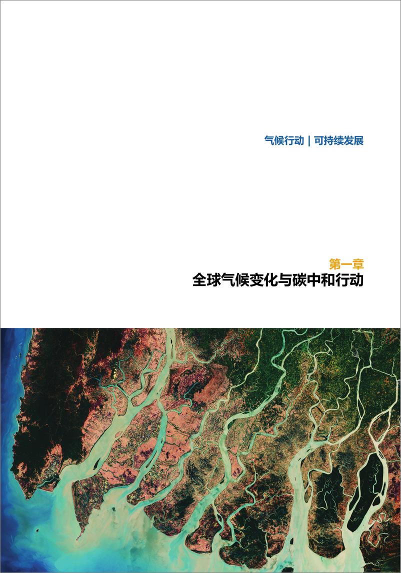 《“双碳”背后的数字技术（中国双碳目标与低碳转型）》 - 第8页预览图