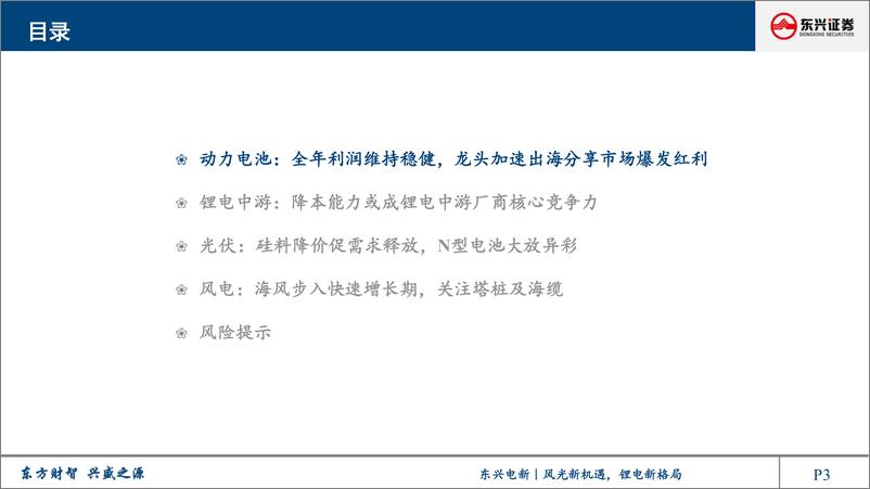 《电新行业2023年中期展望报告：风光新机遇，锂电新格局-20230714-东兴证券-57页》 - 第4页预览图