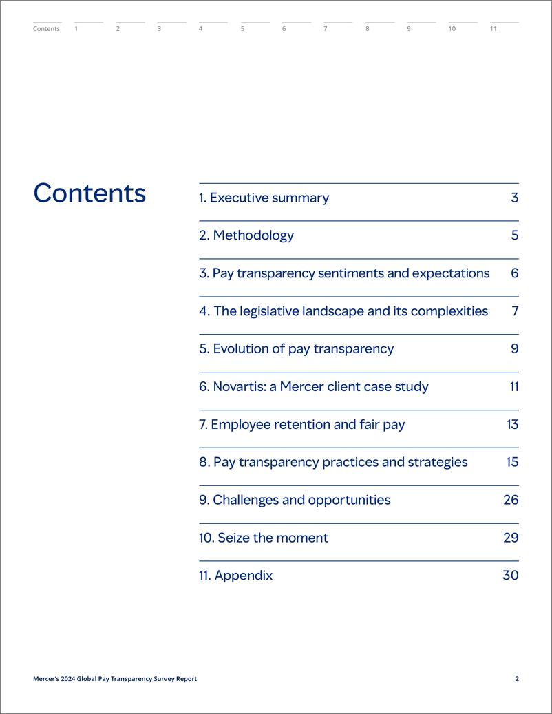 《全球薪酬透明度报告》（英）-31页 - 第2页预览图