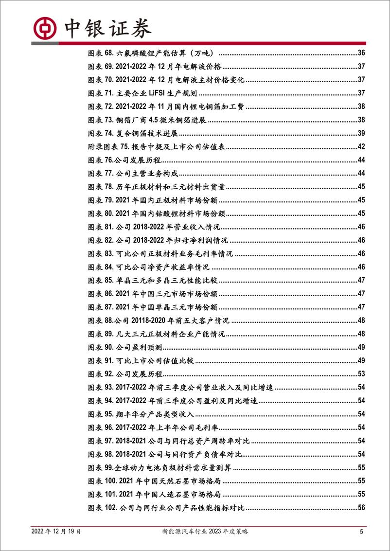 《新能源汽车行业2023年度策略：行至湍流显本色，吹尽狂沙始见金-20221219-中银国际-62页》 - 第6页预览图