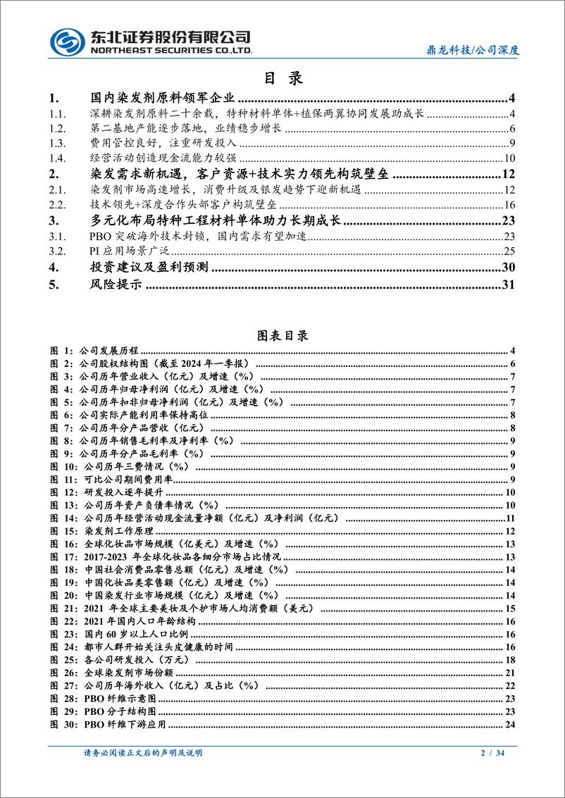 《鼎龙科技(603004)染发剂原料领军企业，特种材料助力成长-240517-东北证券-34页》 - 第2页预览图