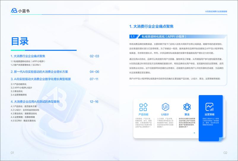 《AB测试测试消费行业实践指南-20页》 - 第5页预览图