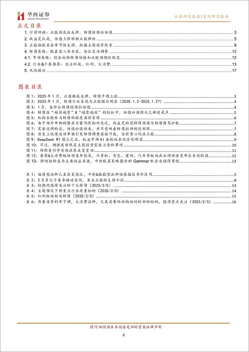 《转债月报：转债，从仓位重回正股-250209-华西证券-19页》 - 第2页预览图