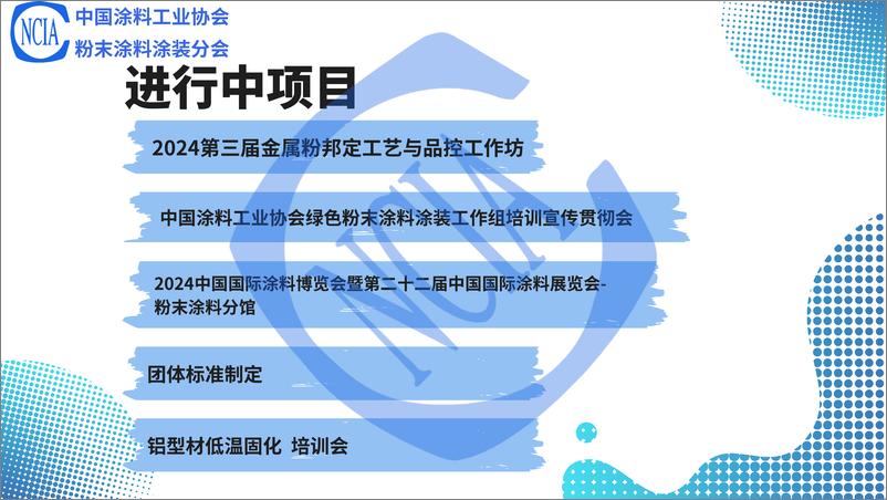 《徐琥：粉末涂料涂装分会情况说明》 - 第5页预览图