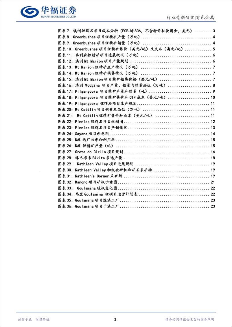 《锂行业专题研究：2024Q1海外锂矿跟踪，Q1因锂价低迷海外锂矿供给环比下降，精矿价格行至底部-240617-华福证券-28页》 - 第3页预览图