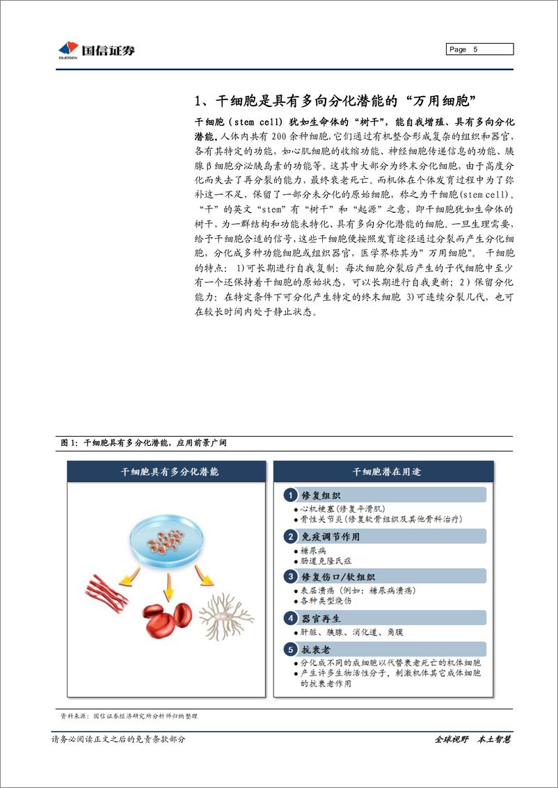 《国信证券-干细胞行业深度研究：“万用细胞“引领再生医学革命》 - 第5页预览图