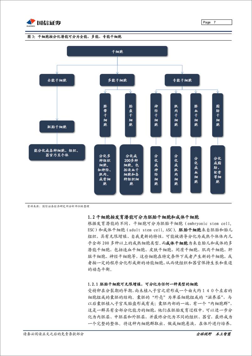 《国信证券-干细胞行业深度研究：“万用细胞“引领再生医学革命》 - 第7页预览图