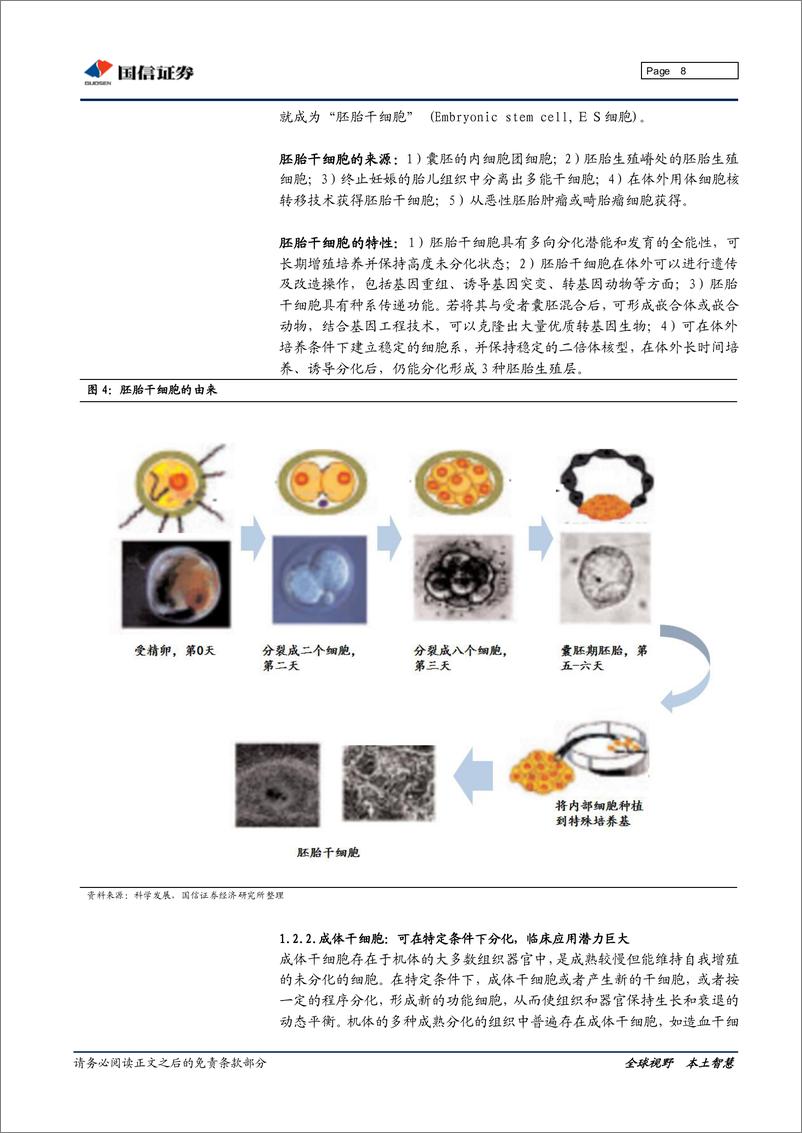 《国信证券-干细胞行业深度研究：“万用细胞“引领再生医学革命》 - 第8页预览图