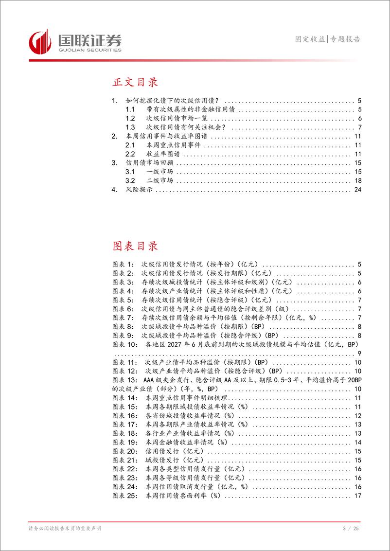 《固定收益专题报告：如何挖掘化债下的次级信用债？-241125-国联证券-26页》 - 第4页预览图