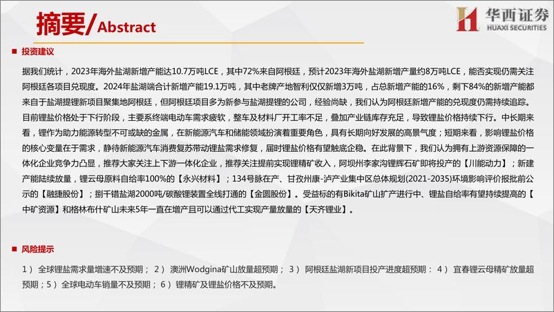 《环保有色行业海外锂资源企业近况总结之盐湖篇：2023年海外盐湖端增量有限，2024年增量情况较难判断-20230310-华西证券-54页》 - 第4页预览图