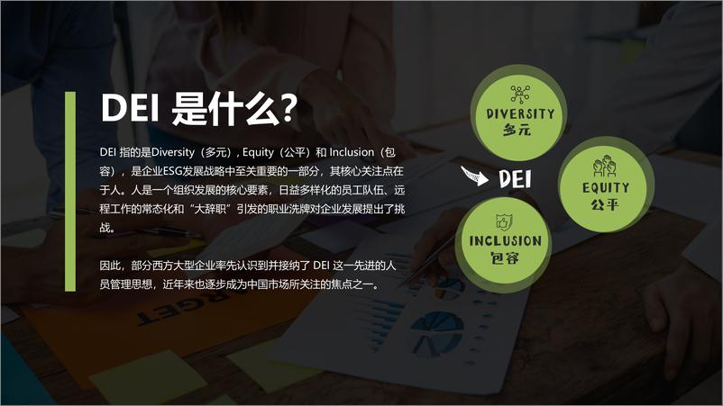 《2024雇主品牌研究所一站式DEI解决方案》 - 第2页预览图