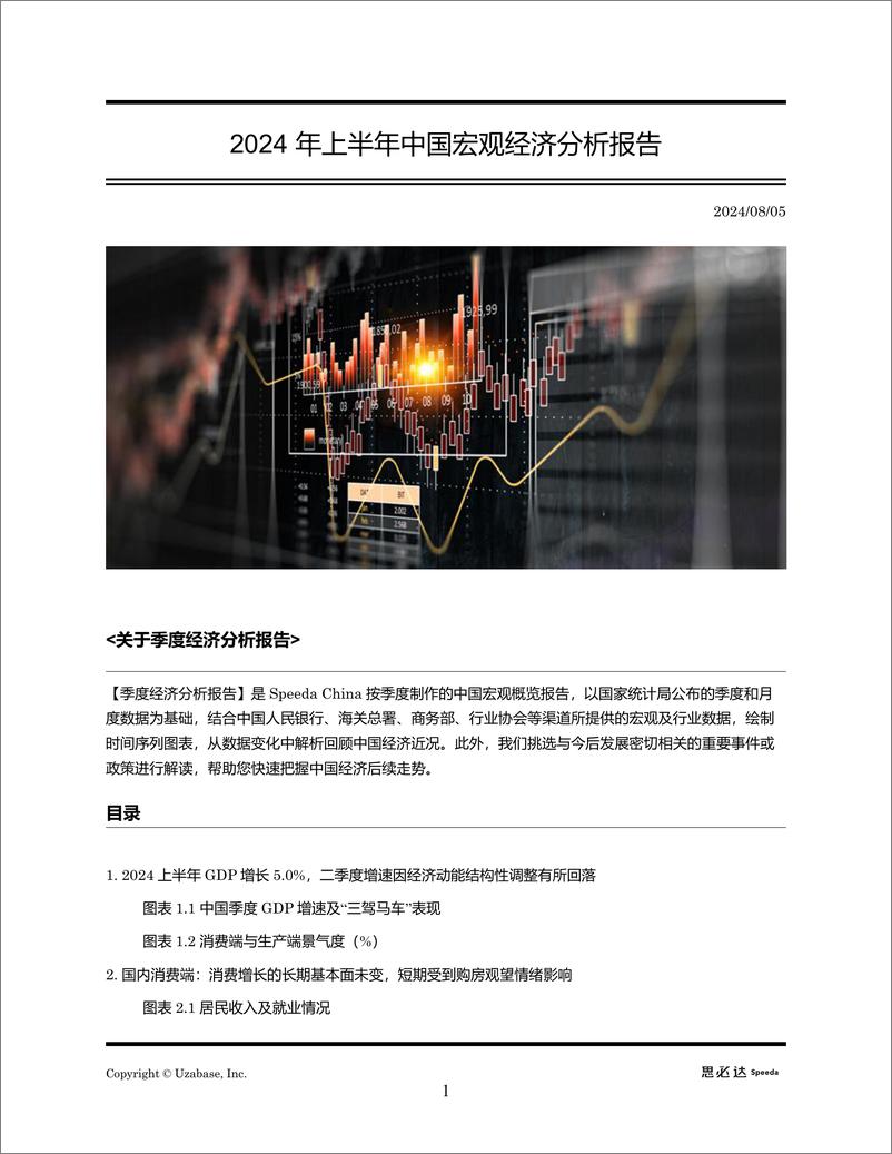 《2024 年上半年中国宏观经济分析报告》 - 第1页预览图