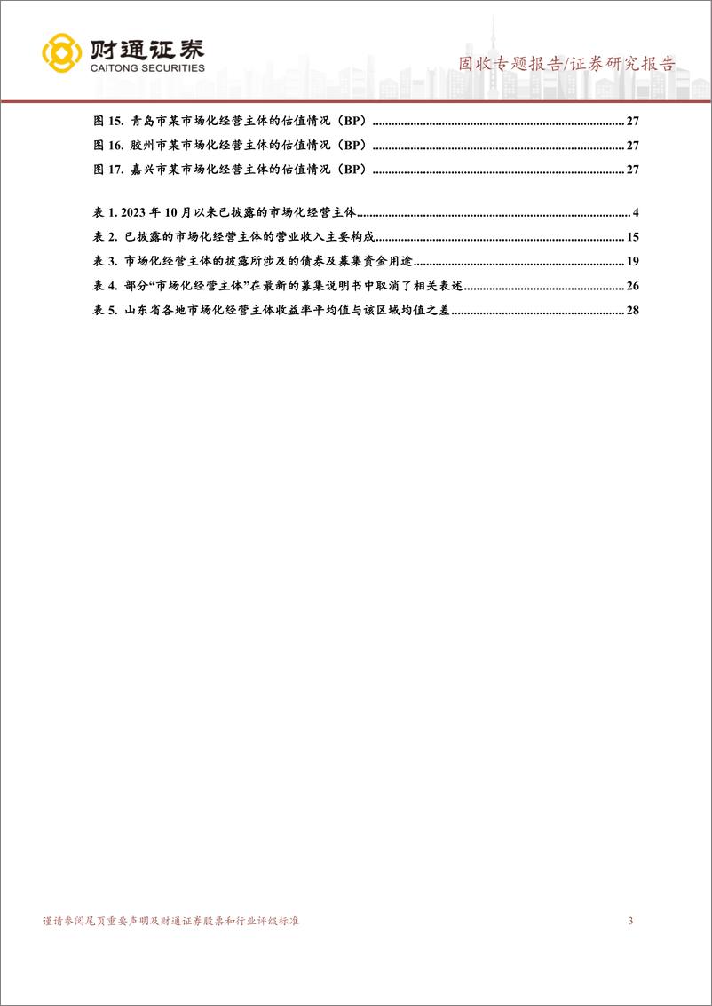 《固收专题报告：各省市场化经营性主体转型边际变化与长期价值-240505-财通证券-29页》 - 第3页预览图